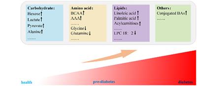 Metabolite profiles of diabetes mellitus and response to  - Frontiers